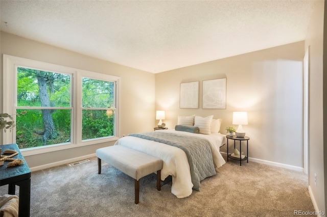 404 Raspberry Ln, Monument, CO 80132 - bedroom featuring carpet and baseboards