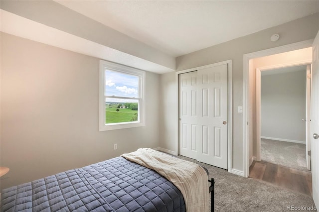 404 Raspberry Ln, Monument, CO 80132 - bedroom with carpet, baseboards, and a closet