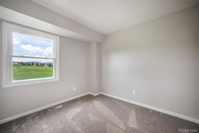 404 Raspberry Ln, Monument, CO 80132 - spare room featuring carpet floors and baseboards
