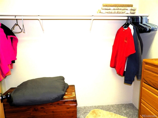 view of closet