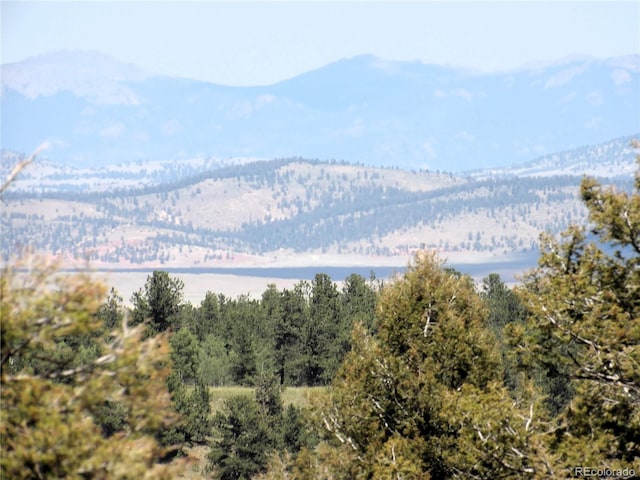 property view of mountains with a view of trees