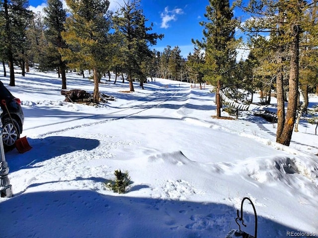 view of yard covered in snow