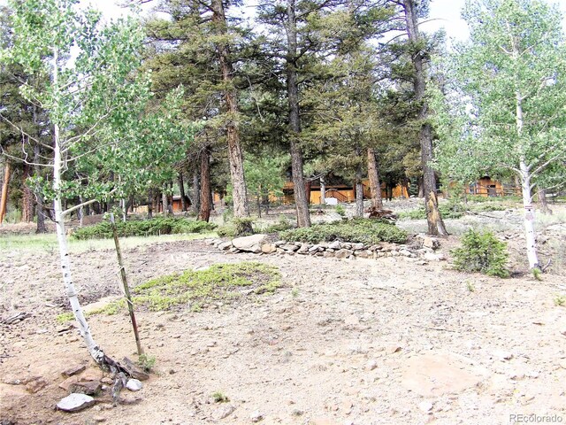 4091 Singletree Rd, Hartsel, CO 80449 - photo 44