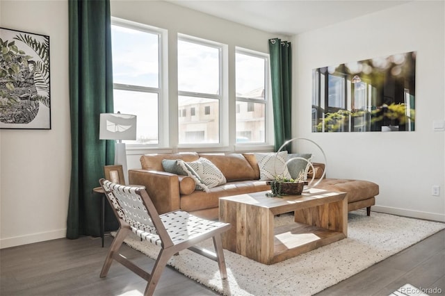 living room featuring wood finished floors and baseboards