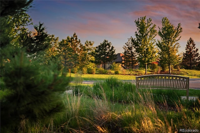 150 Maplehurst Dr, Highlands Ranch, CO 80126 - photo 25