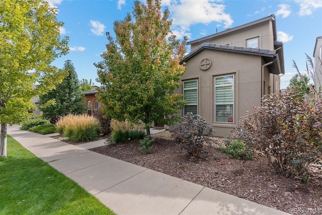 2429 S Orchard St, Lakewood, CO 80228 - photo 2