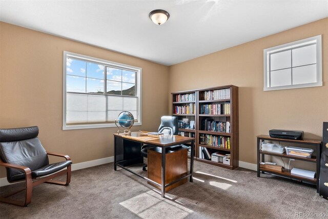 2429 S Orchard St, Lakewood, CO 80228 - photo 20
