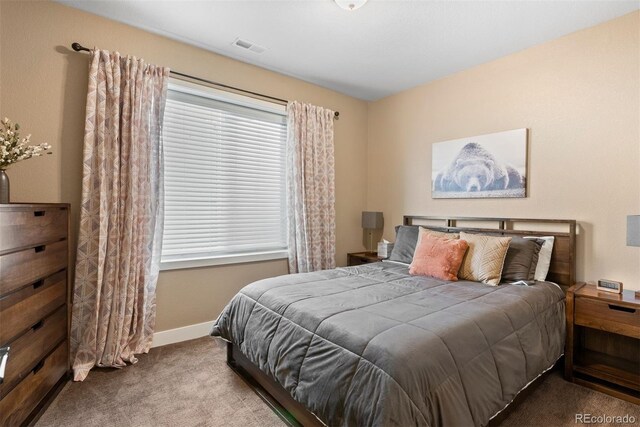 2429 S Orchard St, Lakewood, CO 80228 - photo 24