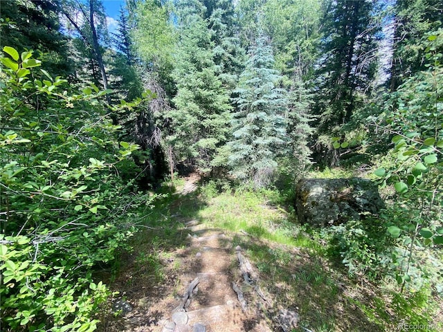 531 E Coach Dr, Antonito, CO 81120 - photo 25