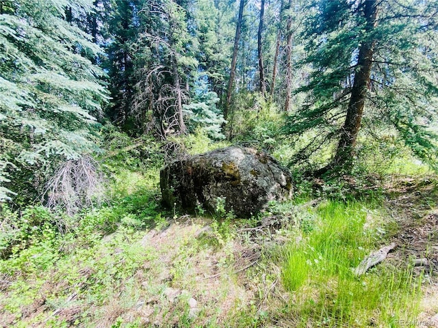 531 E Coach Dr, Antonito, CO 81120 - photo 29