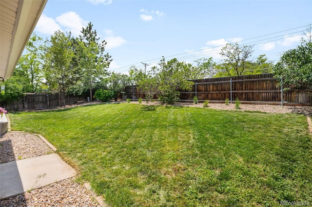 7371 Otis Ct, Arvada, CO 80003 - view of yard