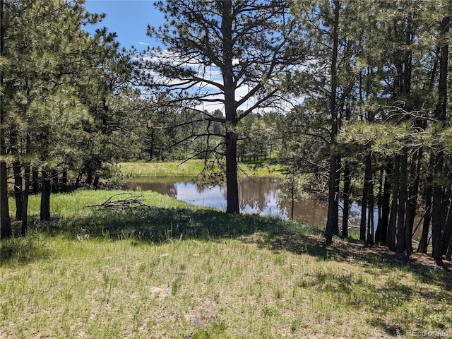 16660 Wild Horseshoe Vw, Peyton, CO 80831