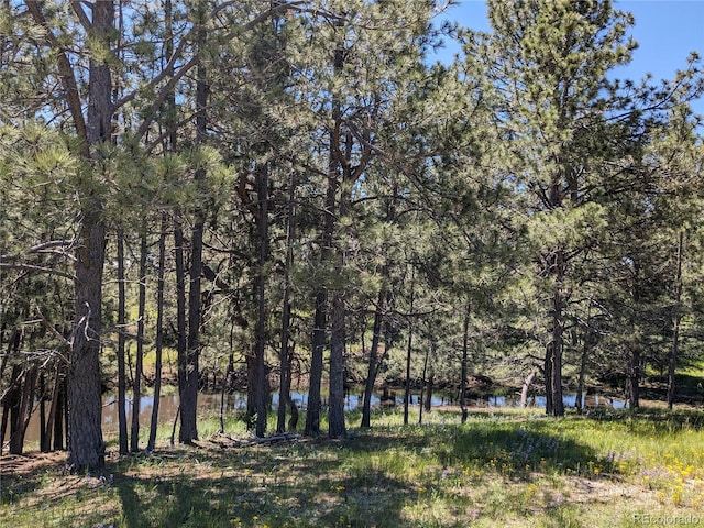 16660 Wild Horseshoe Vw, Peyton, CO 80831