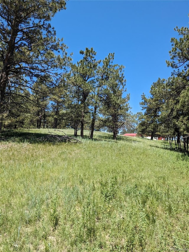 16660 Wild Horseshoe Vw, Peyton, CO 80831