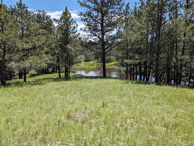 16660 Wild Horseshoe Vw, Peyton, CO 80831