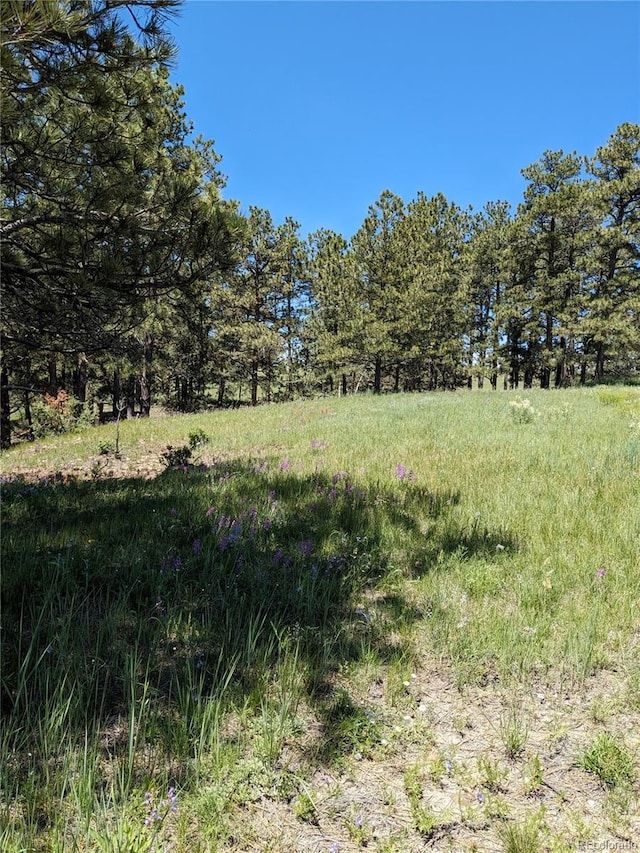 16660 Wild Horseshoe Vw, Peyton, CO 80831