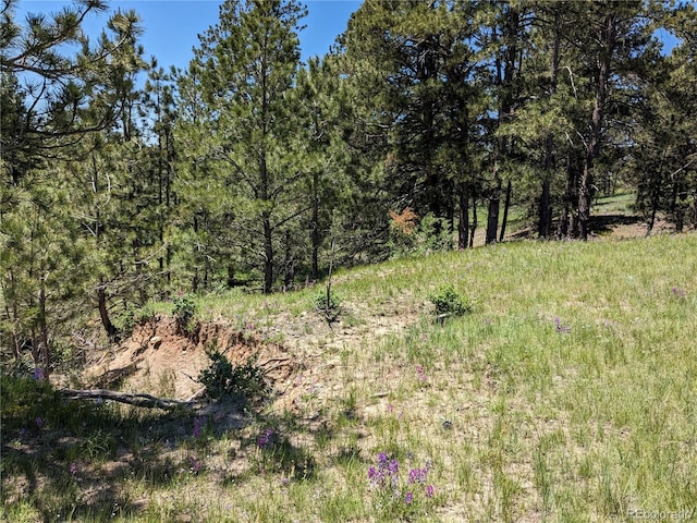 16660 Wild Horseshoe Vw, Peyton, CO 80831