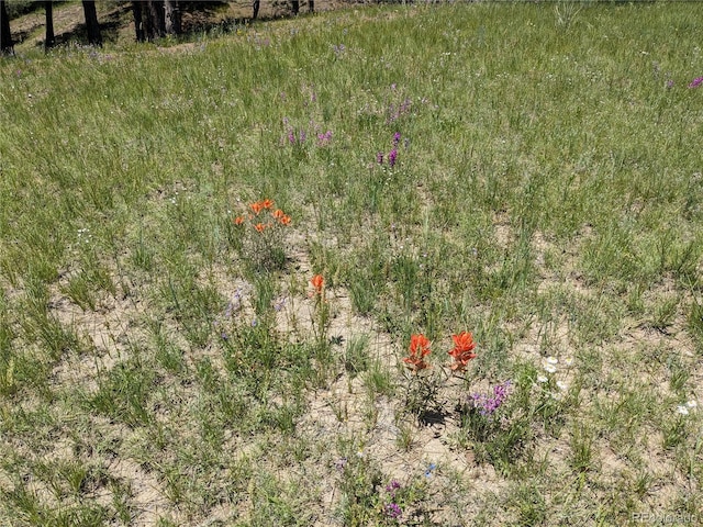 16660 Wild Horseshoe Vw, Peyton, CO 80831