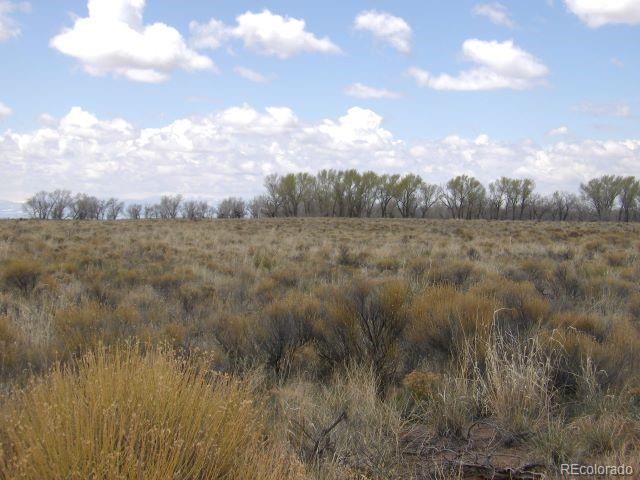 558 Cottonwood Creek Rd, Crestone, CO 81131 - photo 8