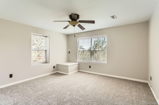 1905 Graphite Ct, Castle Rock, CO 80108 - spare room with plenty of natural light, carpet, and a ceiling fan