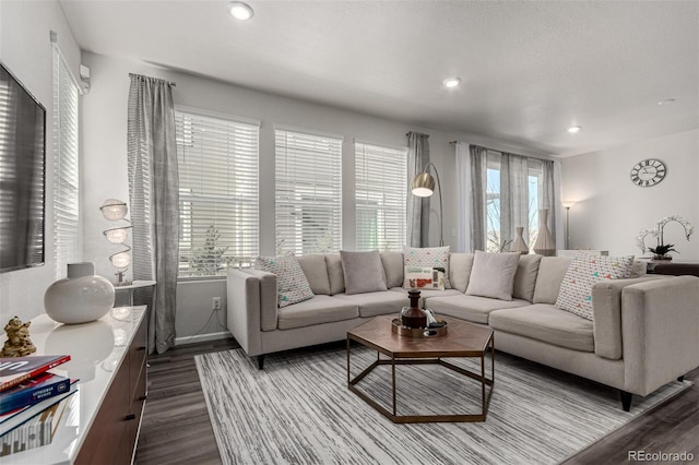 living room with wood-type flooring