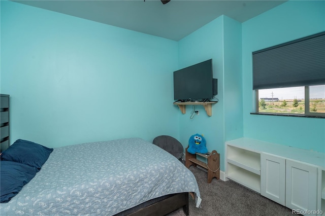 41 County Rd, Fort Lupton, CO 80621 - photo 15