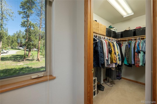 17 County Road 4435, Grand Lake, CO 80447 - photo 21