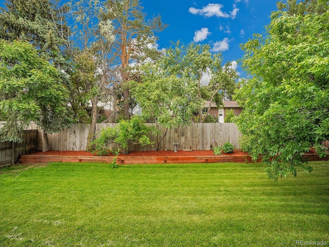 4670 E Euclid Cir, Centennial, CO 80121 - view of yard