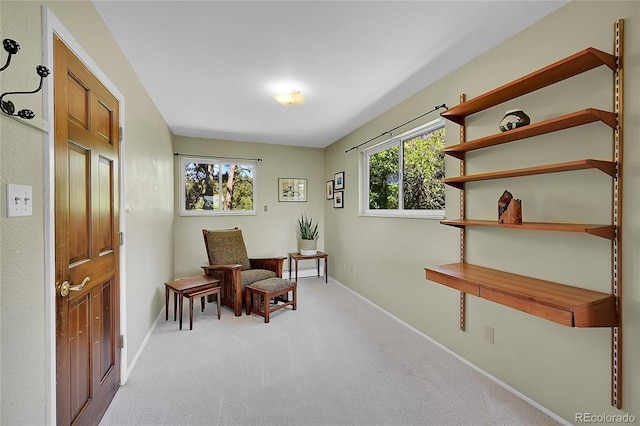 living area with light carpet