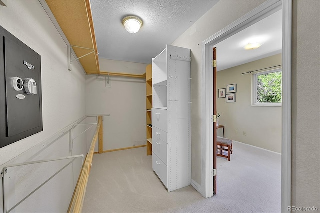 walk in closet featuring light carpet