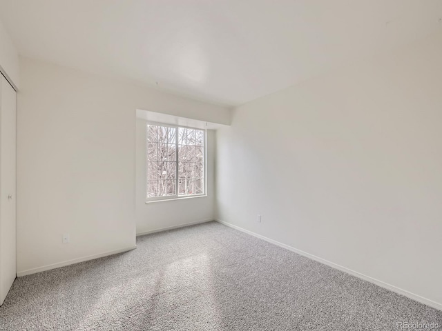 empty room featuring carpet