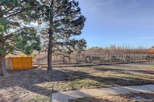 view of yard featuring a rural view