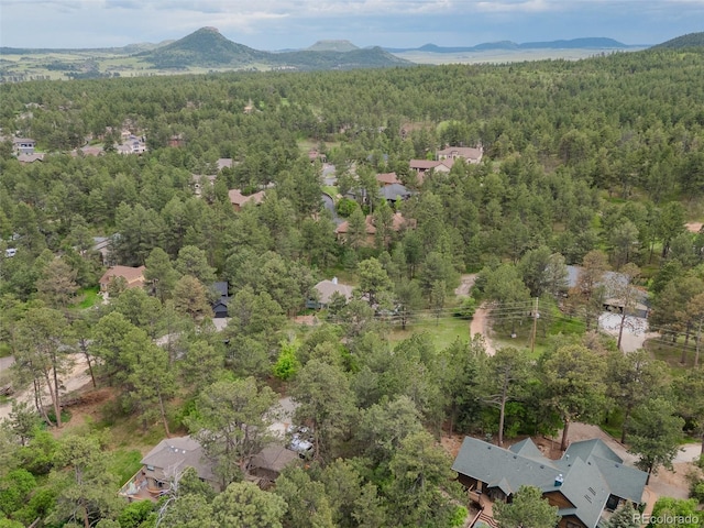 1038 Tenderfoot Dr, Larkspur, CO 80118 - photo 30