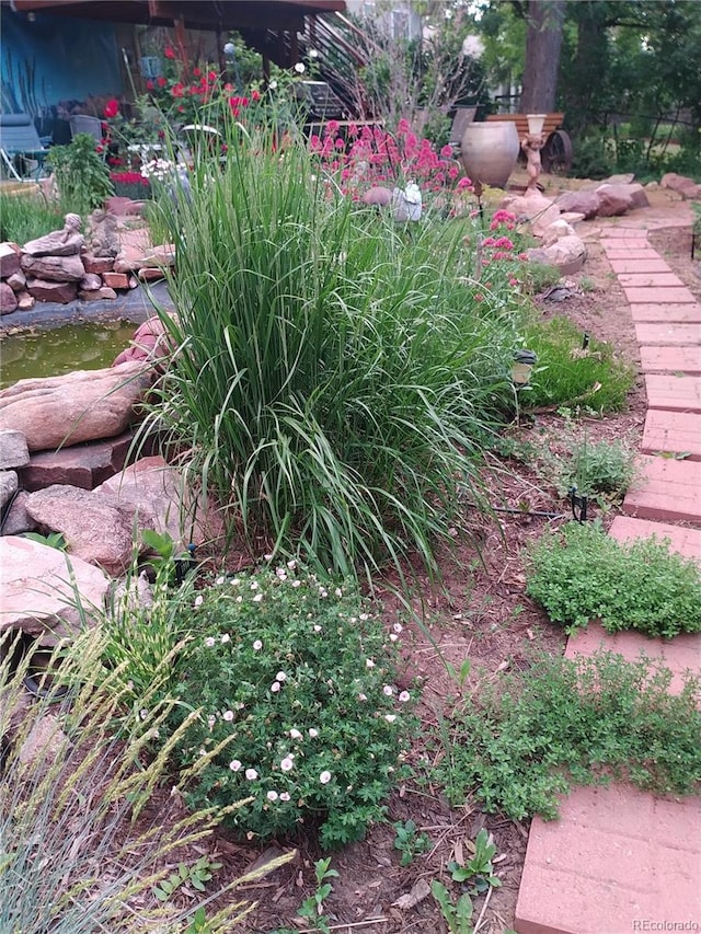 1080 Ithaca Dr, Boulder, CO 80305 - view of yard with a garden pond
