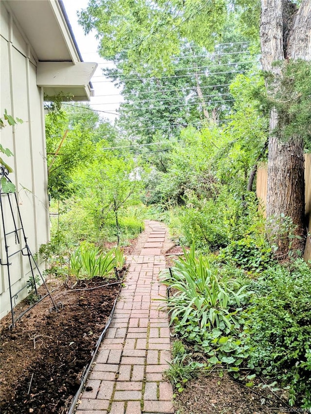 1080 Ithaca Dr, Boulder, CO 80305 - view of yard