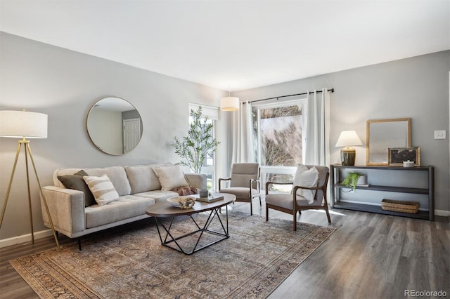 living room with hardwood / wood-style floors