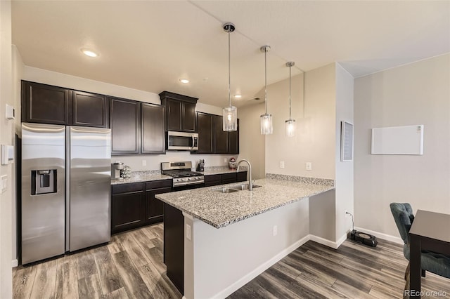 kitchen featuring a sink, a peninsula, wood finished floors, and stainless steel appliances