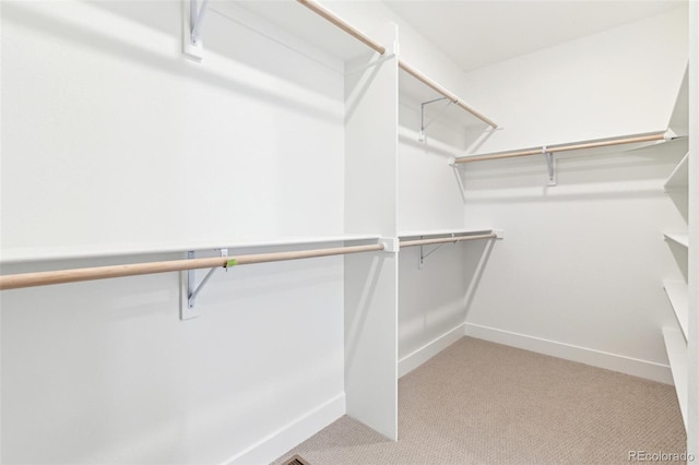 spacious closet with light carpet