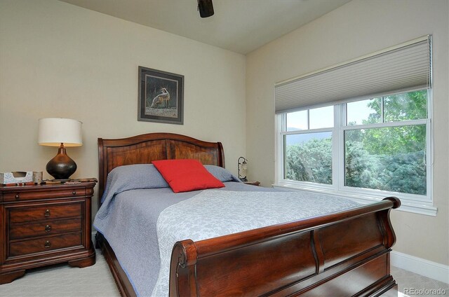 106 Cottonwood Cir, Salida, CO 81201 - photo 20