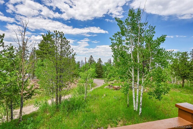 10436 Jeanette Ct, Morrison, CO 80465 - view of yard