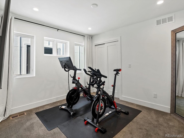 1612 Wolff St, Denver, CO 80204 - exercise room with recessed lighting and carpet
