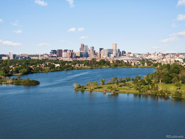 1612 Wolff St, Denver, CO 80204 - water view with skyline