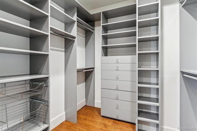 2600 S Adams St, Denver, CO 80210 - spacious closet featuring wood finished floors