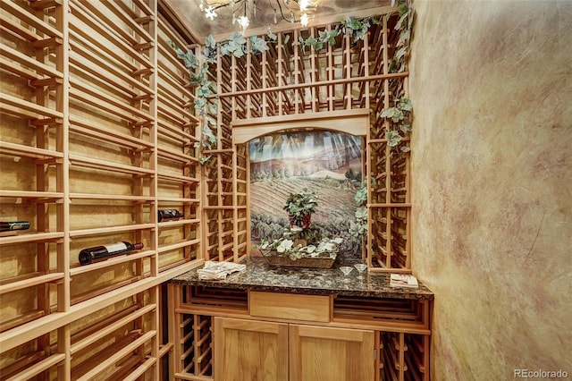 view of wine room