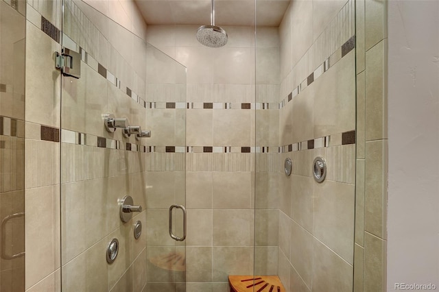 bathroom featuring a shower with shower door