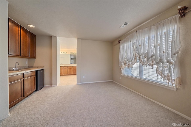 6317 Ruby Hill Dr, Erie, CO 80516 - unfurnished living room featuring light colored carpet, baseboards, visible vents, and a sink