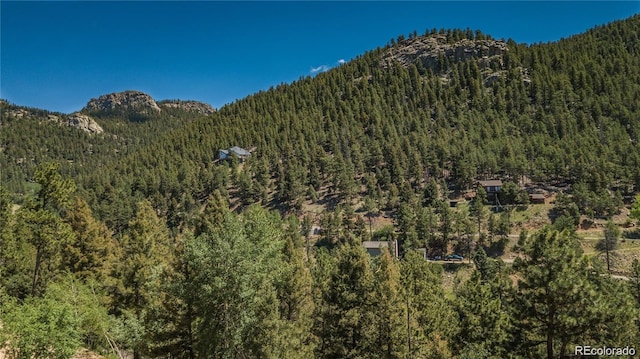 13495 Shiloh Rd, Conifer, CO 80433 - photo 9