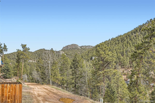 13495 Shiloh Rd, Conifer, CO 80433 - photo 15