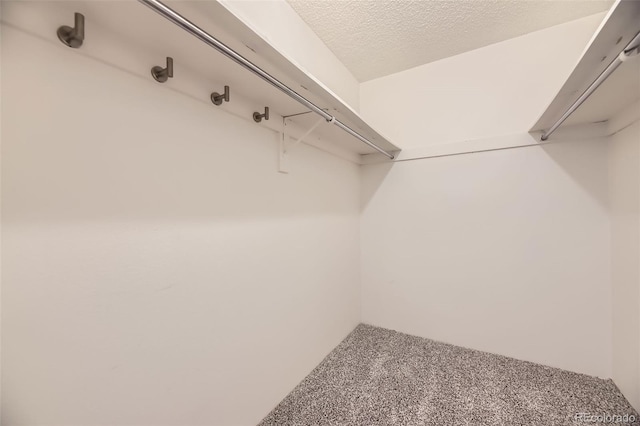 walk in closet featuring carpet flooring