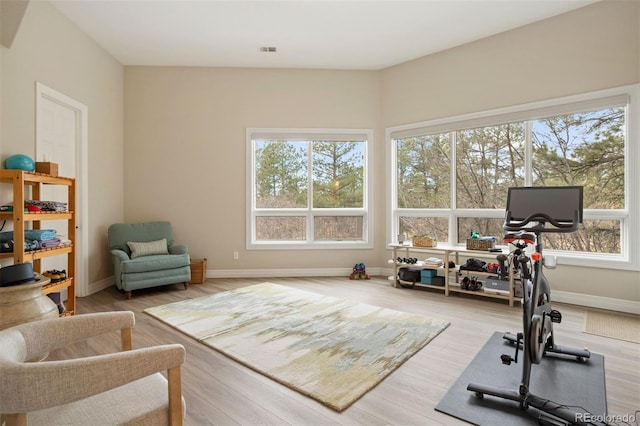 workout room featuring light wood-type flooring and a wealth of natural light